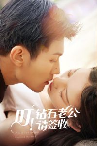 叮！钻石老公请签收(全集)