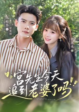 宫先生今天追到老婆了吗(全集)